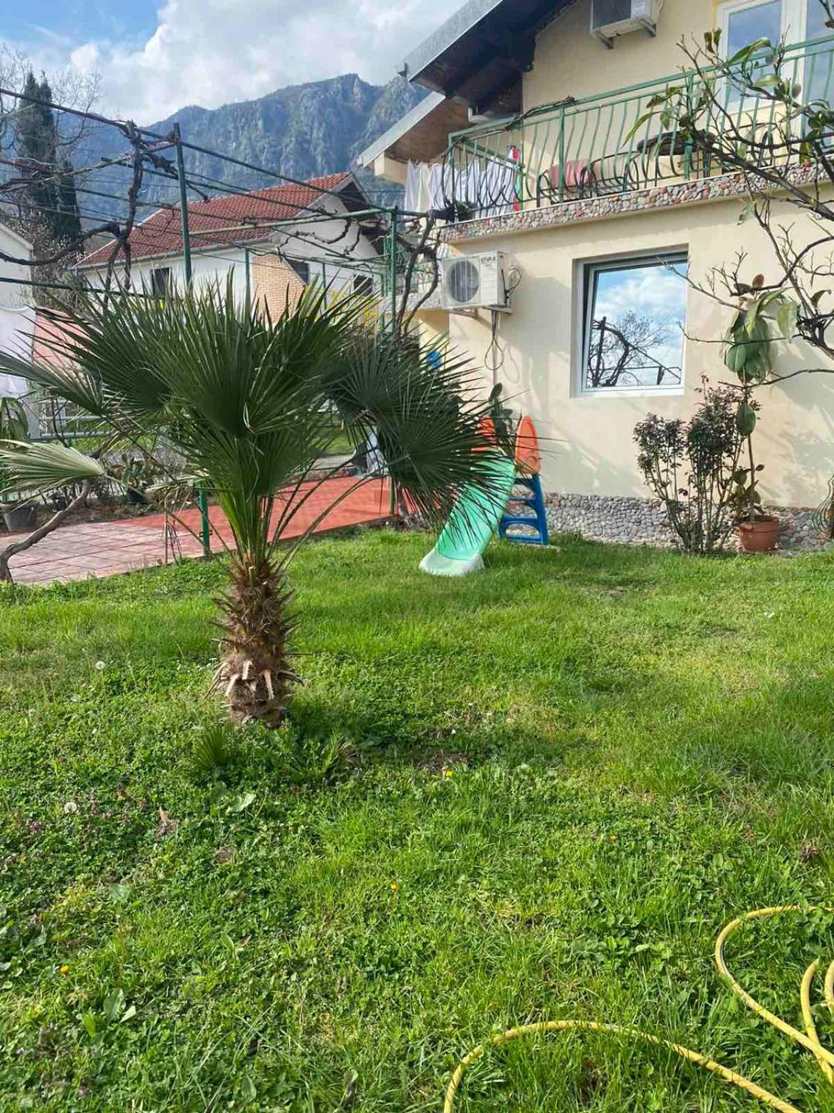 Apartmani Zelenika Herceg Novi Rom bilde